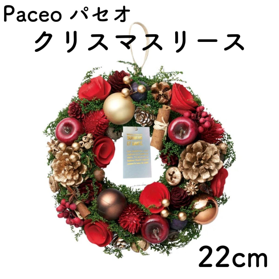 クリスマスリース Mサイズ 22cm Sサイズ 16cmケース入り 天然素材 ウィンターリース Xmasリース 冬飾り 2024新作
