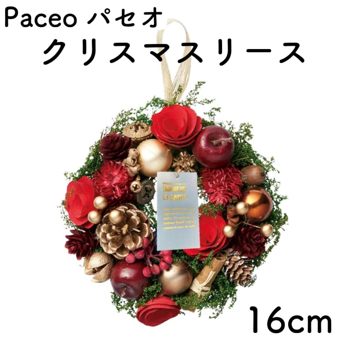 クリスマスリース Mサイズ 22cm Sサイズ 16cmケース入り 天然素材 ウィンターリース Xmasリース 冬飾り 2024新作