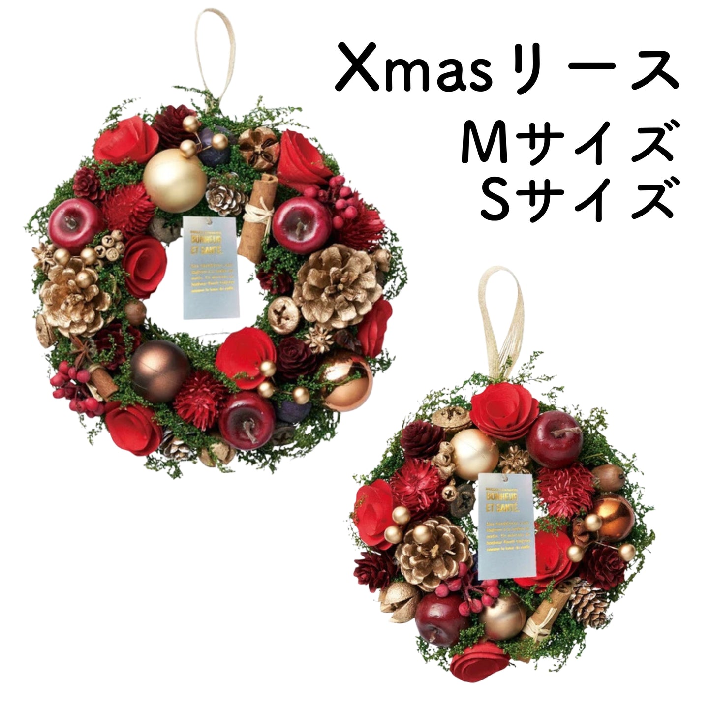 クリスマスリース Mサイズ 22cm Sサイズ 16cmケース入り 天然素材 ウィンターリース Xmasリース 冬飾り 2024新作